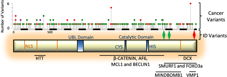 Fig. 1