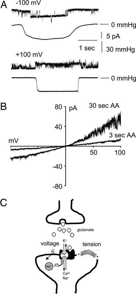 Fig. 4.