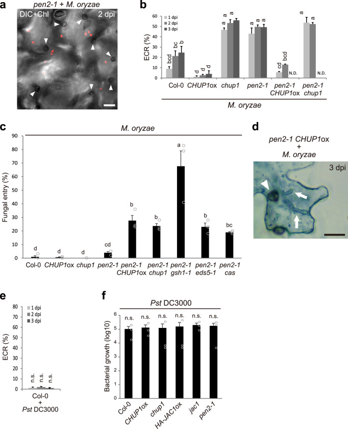 Fig. 9