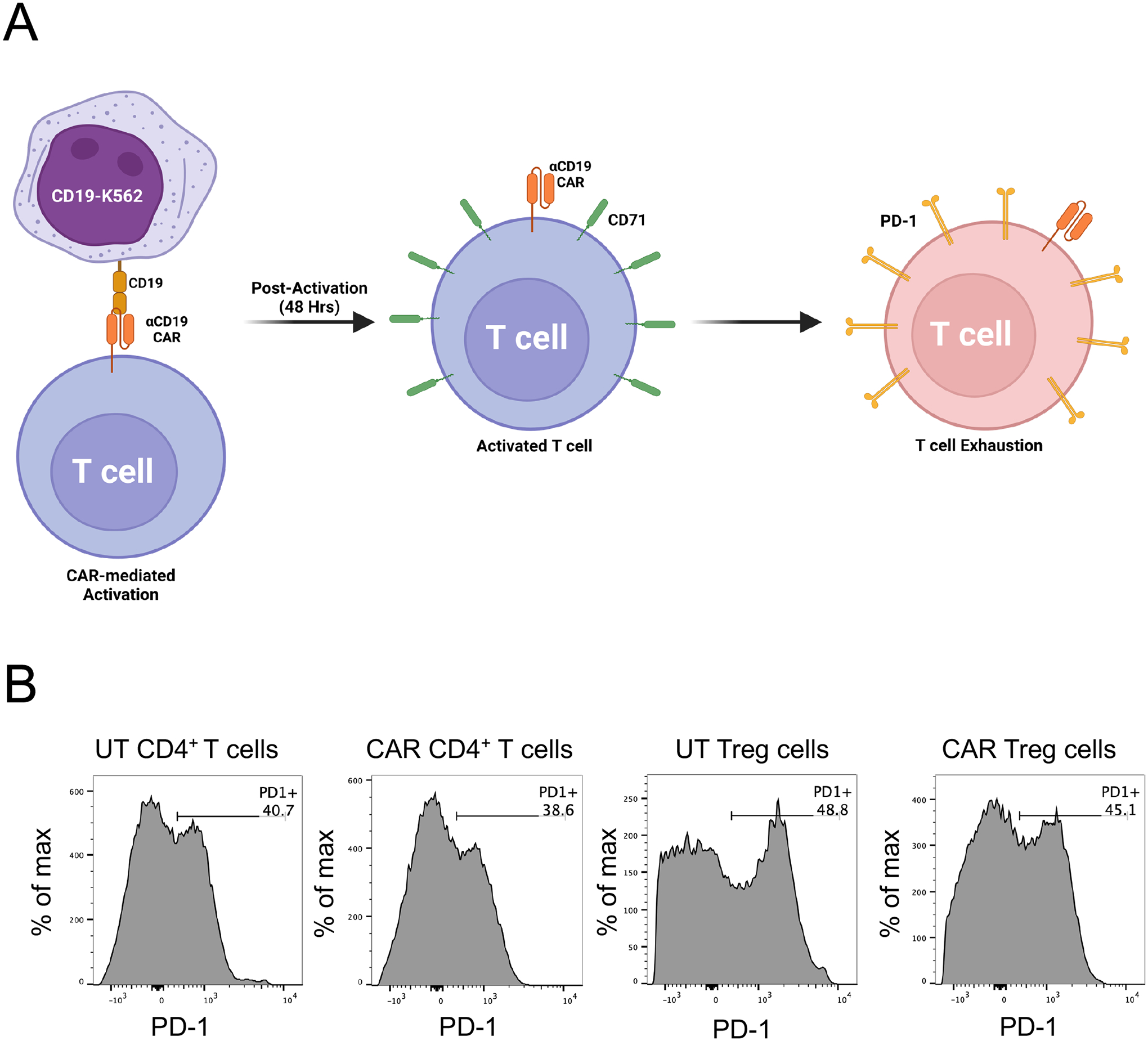 Figure 12.