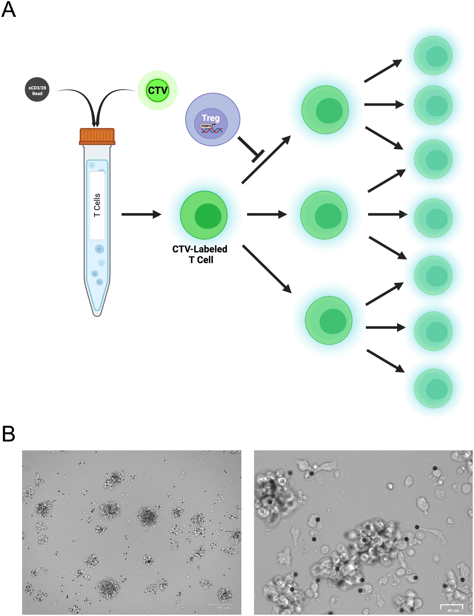 Figure 9.