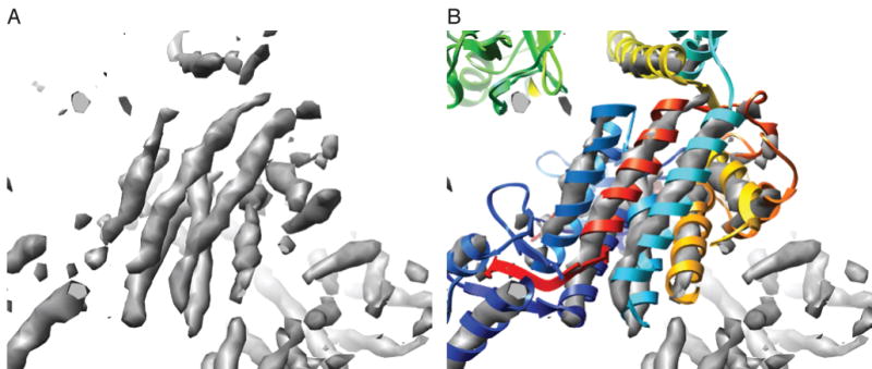 Fig. 6