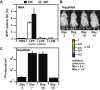 Figure 4