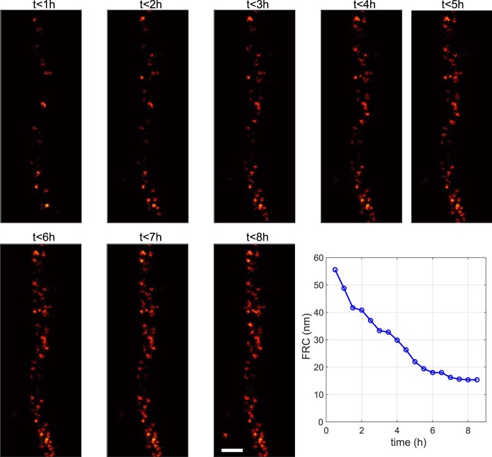 Extended Data Fig. 3