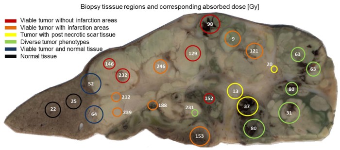 Figure 4