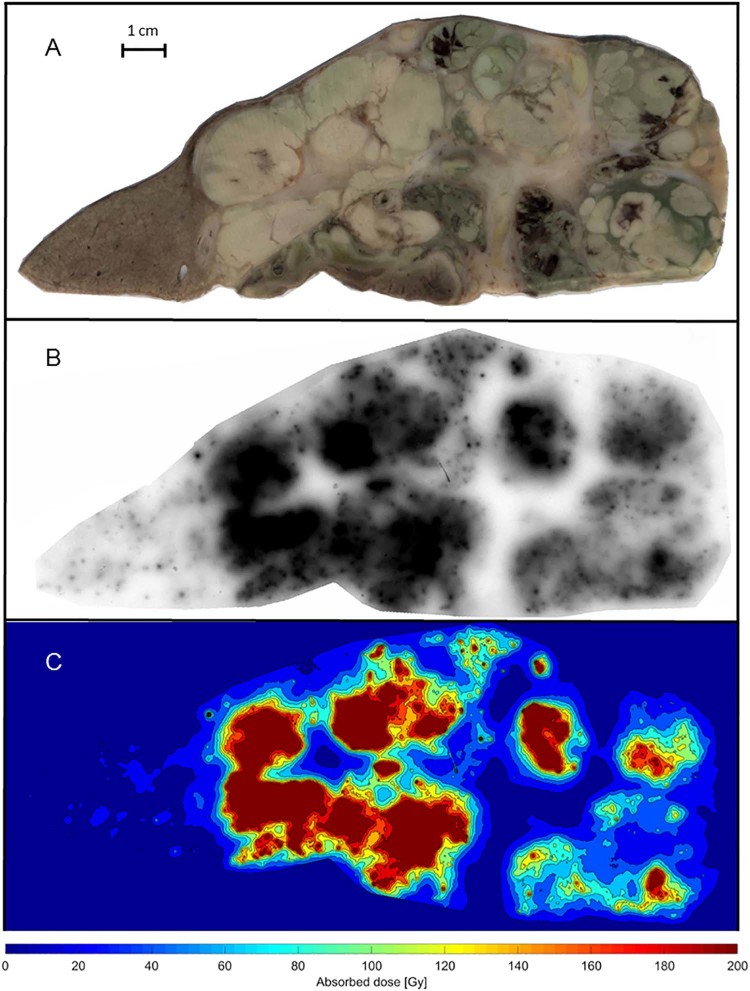 Figure 3