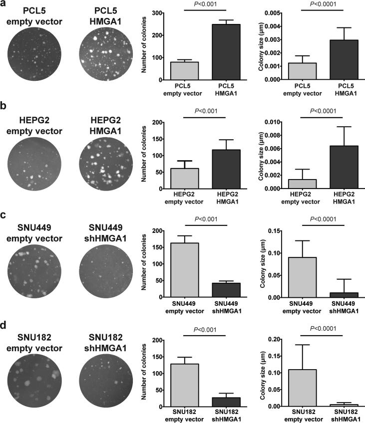 graphic file with name fx1.jpg