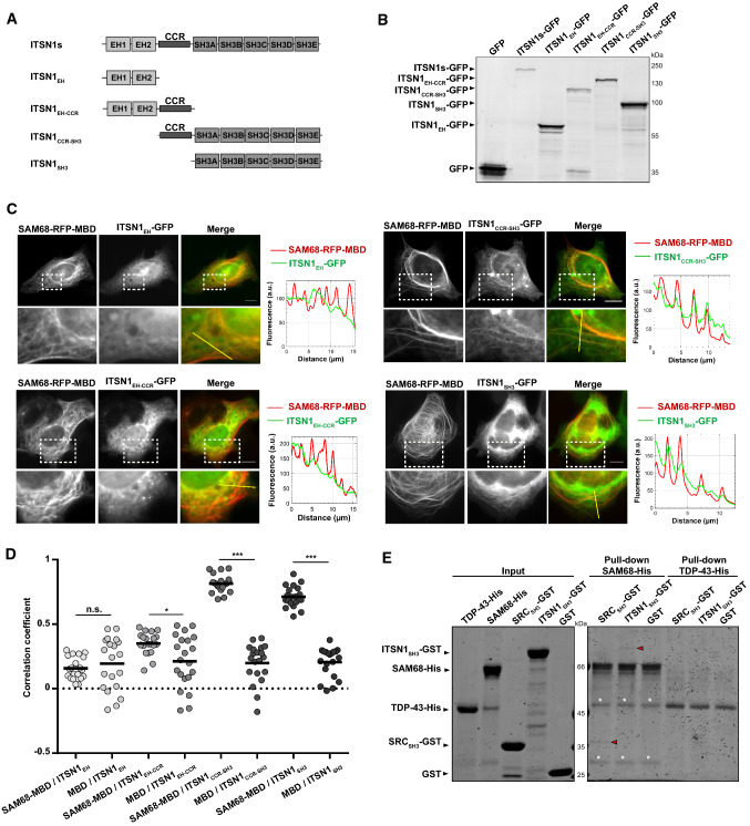 Fig. 2