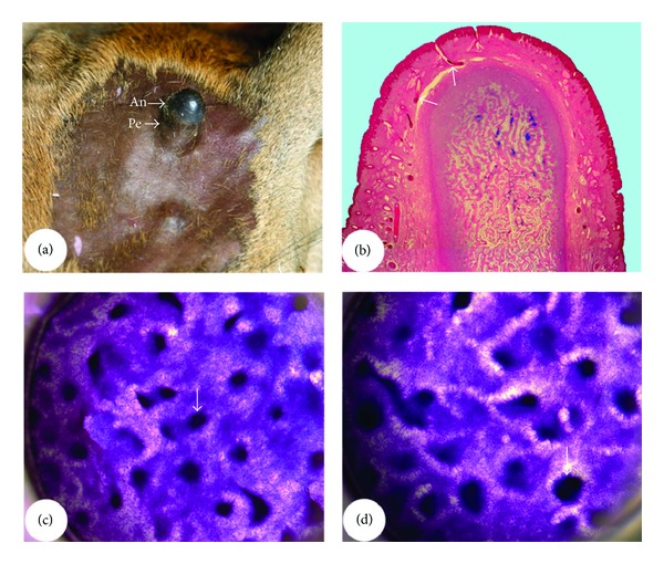 Figure 14