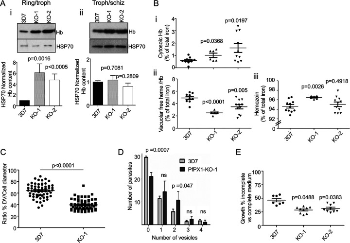 FIG 6