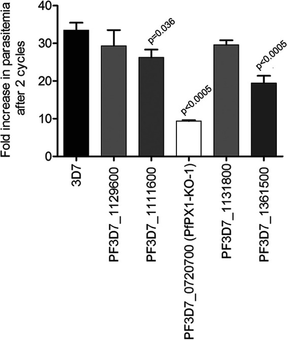 FIG 1