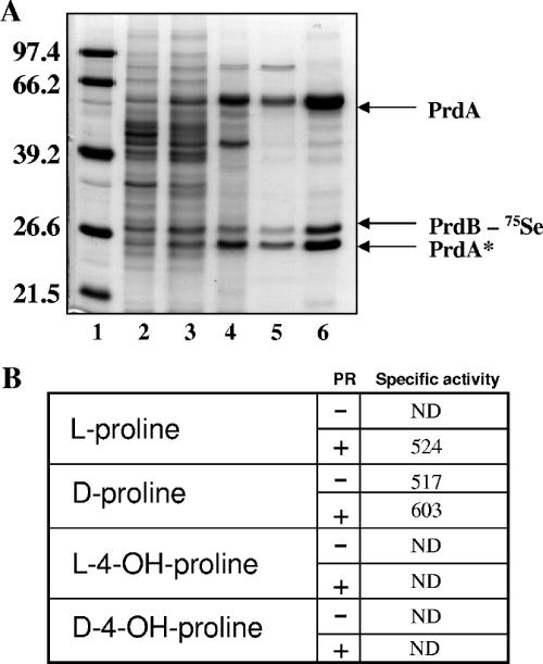 FIG. 5.