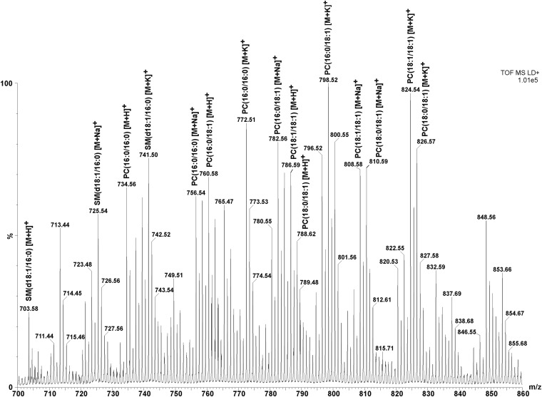 Fig. 4.