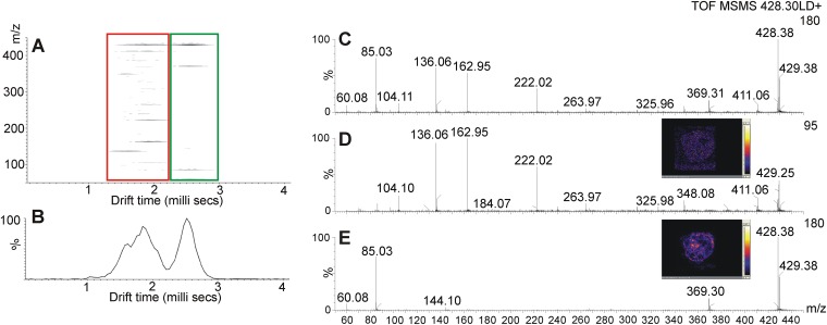 Fig. 9.