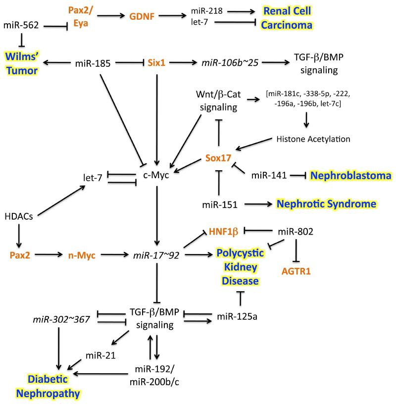 Schematic 1