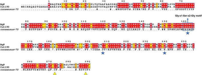 FIGURE 2