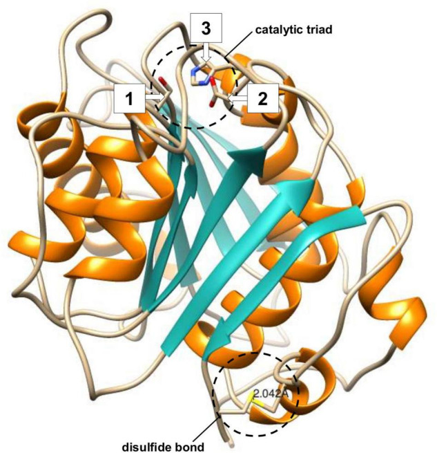 FIGURE 3