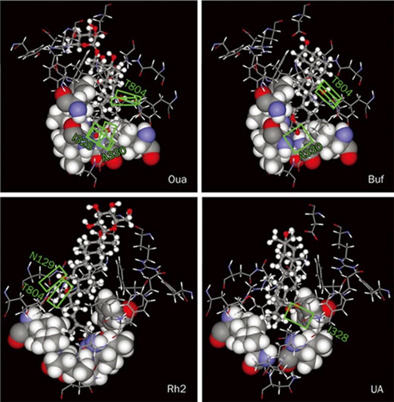 Figure 6