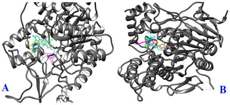 Figure 5