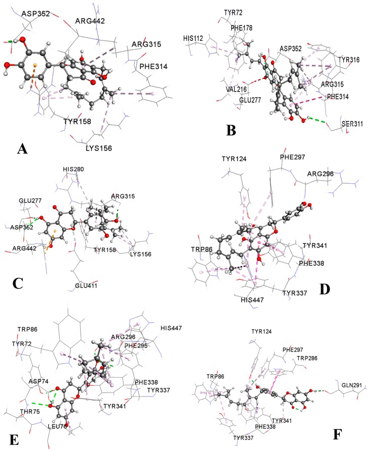 Figure 6