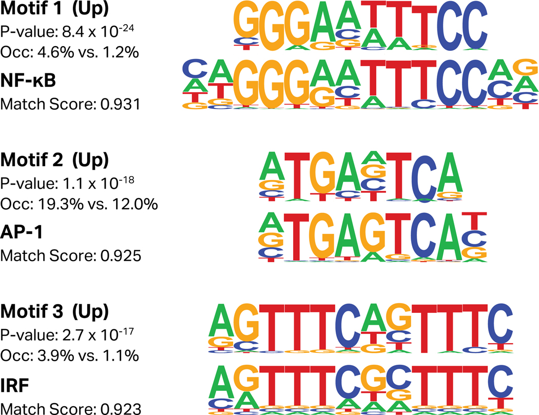 Figure 7.