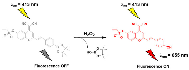 Scheme 2