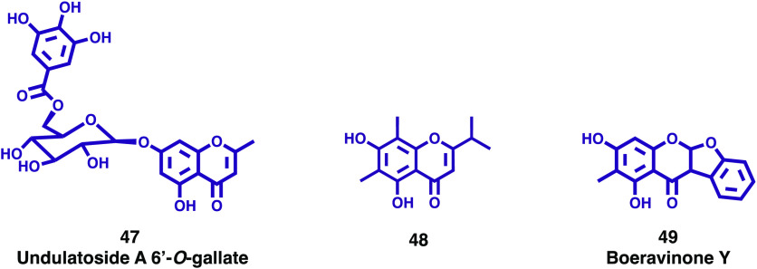 Figure 8