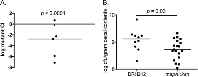 FIG 5