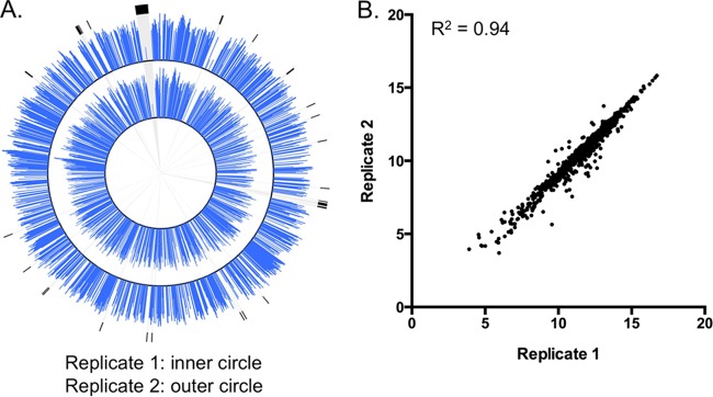 FIG 3