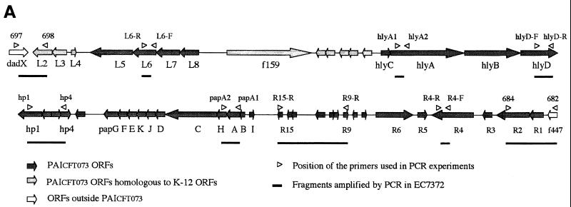 FIG. 7