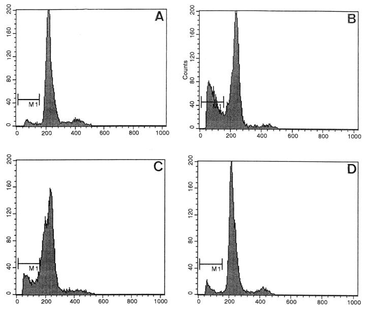 FIG. 6