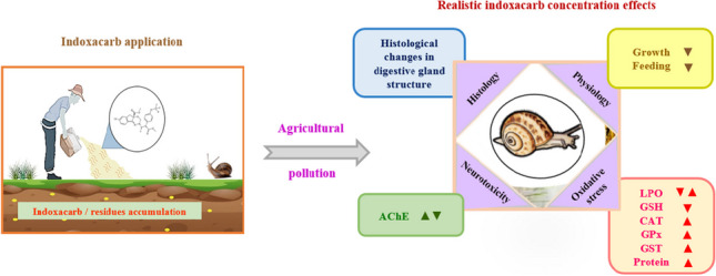 graphic file with name 11356_2024_33214_Figa_HTML.jpg