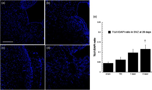 Fig. 17