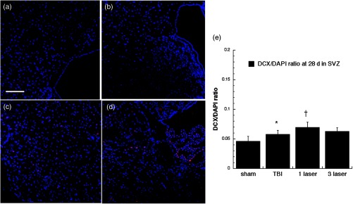 Fig. 12