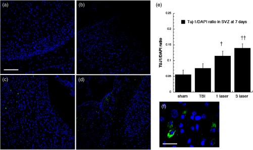 Fig. 16