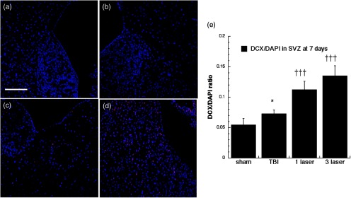 Fig. 11