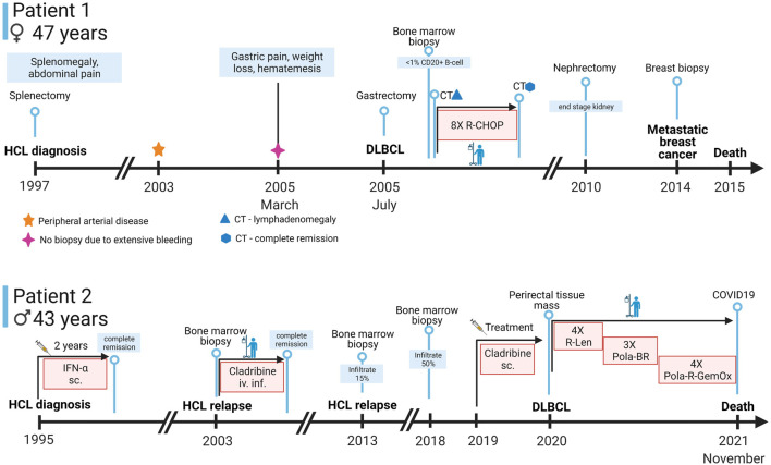 FIGURE 1