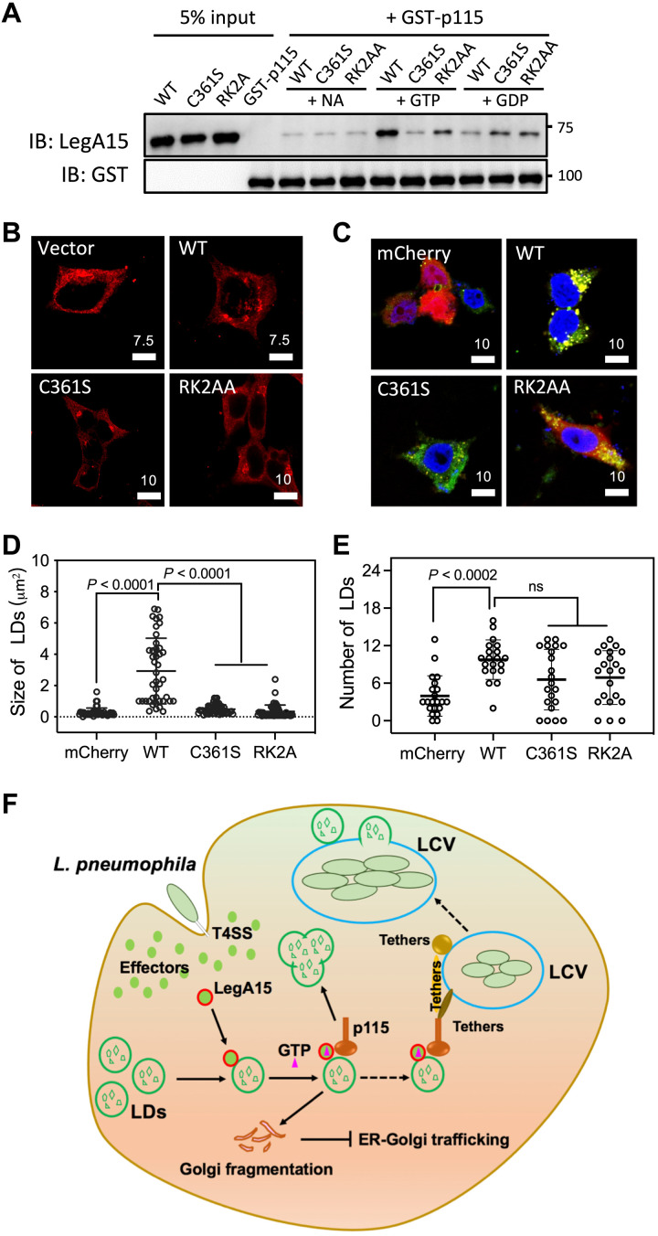 Fig. 7.