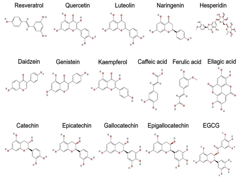 Figure 16