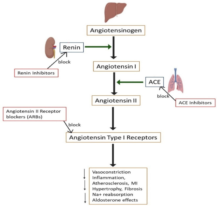 Figure 13