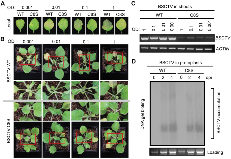 Fig. 4.