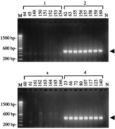 FIG. 3