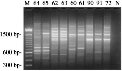 FIG. 1