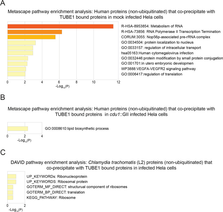 Figure 1—figure supplement 4.