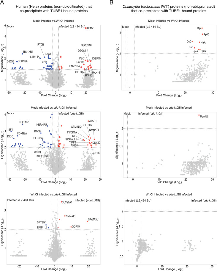 Figure 1—figure supplement 3.