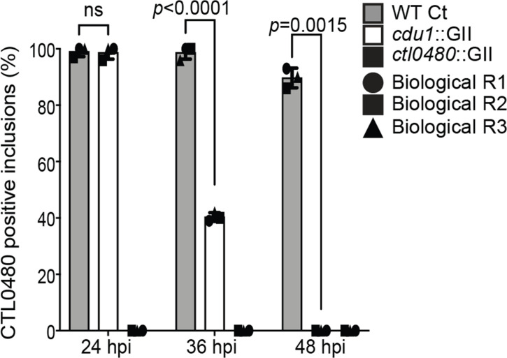 Figure 3—figure supplement 1.