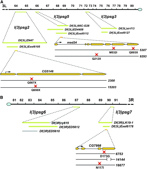 Figure 6.—