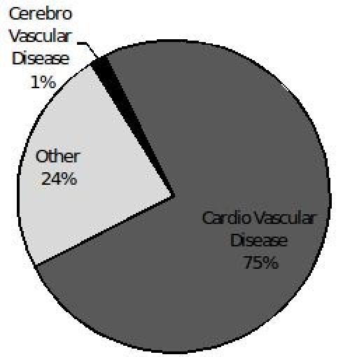 Figure 2b