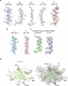 Extended Data Fig. 5