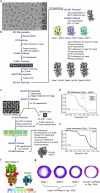 Extended Data Fig. 4